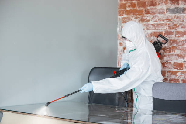 Best Forensic Mold Investigation in Elk City, OK